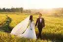 Cô dâu váy trắng và chú rể vest đen đứng giữa cánh đồng lúa lúc hoàng hôn